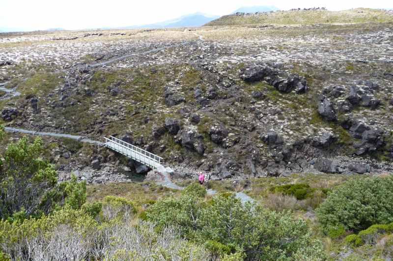 Nieuw-Zeeland 2011 - 0863